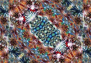 世嘉公布索尼克系列全新企划  